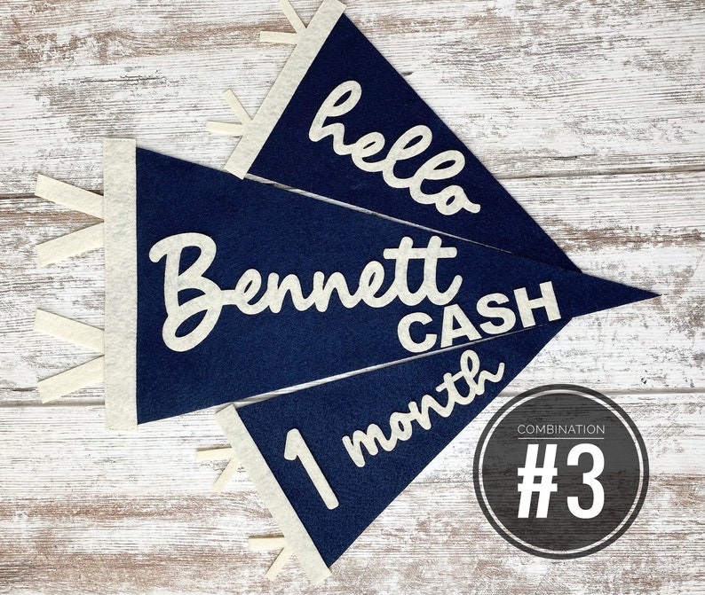 Baby milestones pennant for baby photos, newborn photo prop first year, neutral flag room decor, interchangeable monthly sign baby shower image 6