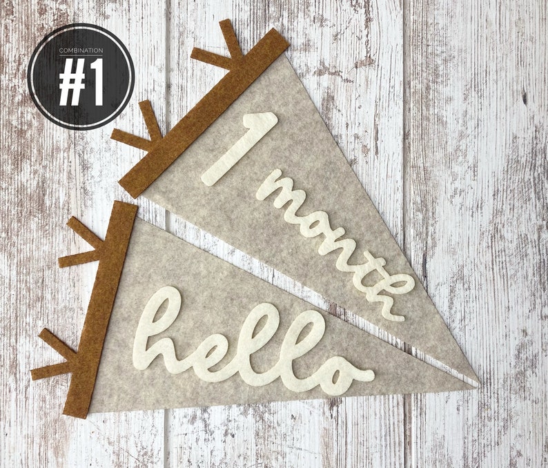 Baby milestones pennant for baby photos, newborn photo prop first year, neutral flag room decor, interchangeable monthly sign baby shower image 4