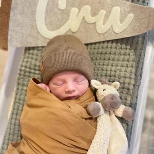 May include: A newborn infant wrapped in a solid tan swaddle blanket, wearing a ribbed brown knit beanie. The infant is positioned next to a cream and brown plush animal security blanket. A felt pennant with the text "Cru" is visible above.