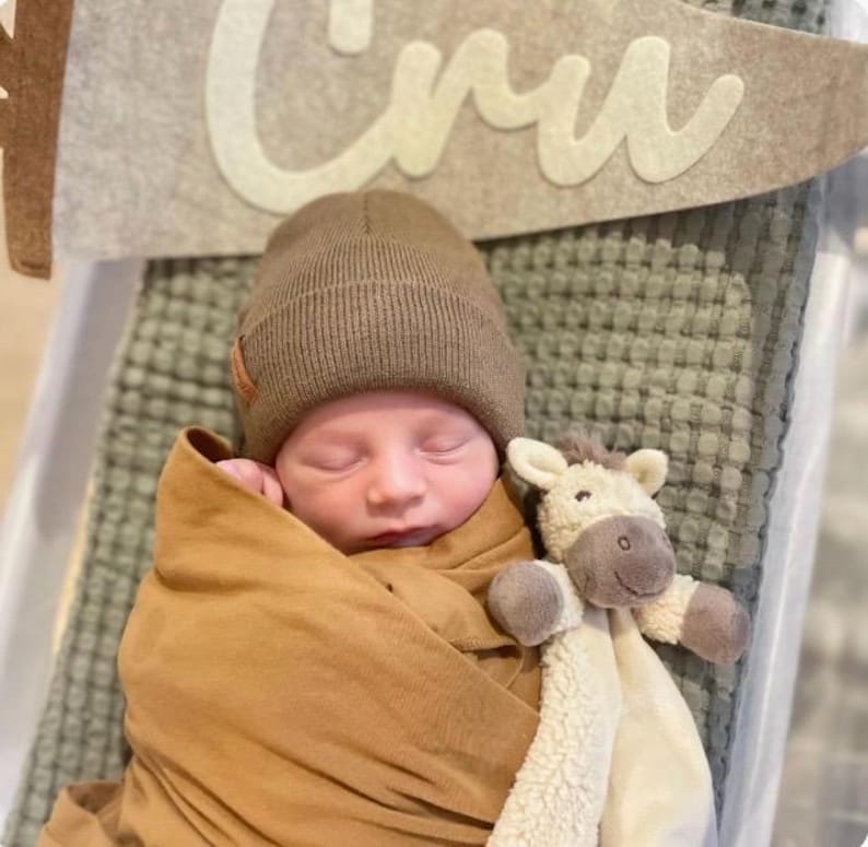 May include: A newborn infant wrapped in a solid tan swaddle blanket, wearing a ribbed brown knit beanie. The infant is positioned next to a cream and brown plush animal security blanket. A felt pennant with the text "Cru" is visible above.