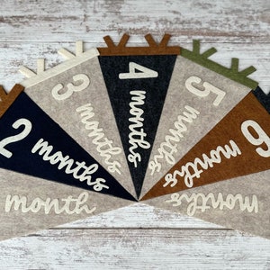 Baby milestones pennant for baby photos, newborn photo prop first year, neutral flag room decor, interchangeable monthly sign baby shower image 1