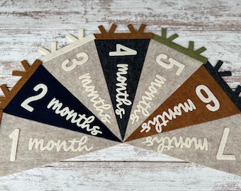 Baby milestones pennant for baby photos, newborn photo prop first year, neutral flag room decor, interchangeable monthly sign baby shower