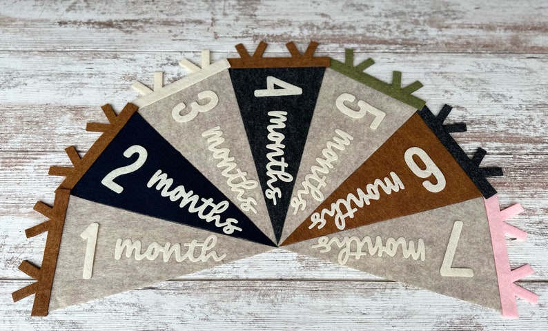 Baby milestones pennant for baby photos, newborn photo prop first year, neutral flag room decor, interchangeable monthly sign baby shower image 1