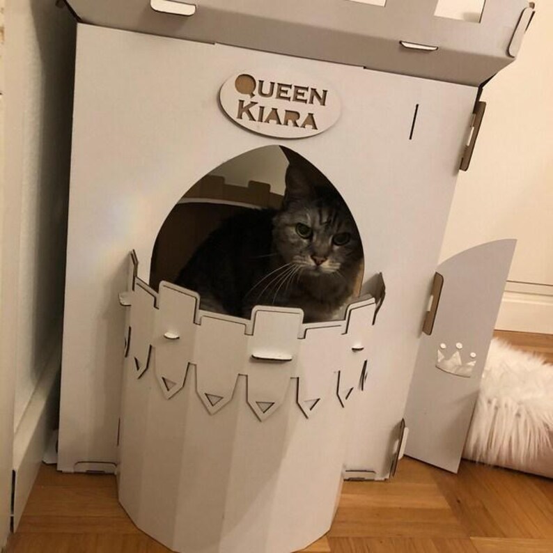 Personalized Pet Gift,
Custom Pet Furniture,
Cat Name Furniture,
Modern Pet Decor,
Pet Birthday Gift,
Eco-friendly Pet Bed,
Custom Pet House,
Pet Owner Gift Idea,
Dog Cat Furniture,
Pet Lovers Gift,
Indoor Pet House,
Personalized Pet Bed,
Handmade Pet Decor,