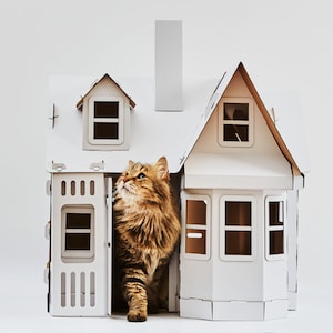 Forteresse pour Cat. Maison de chat en carton avec balcons image 9