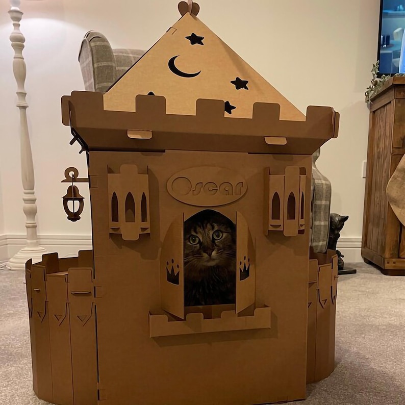 Personalized Pet Gift,
Custom Pet Furniture,
Cat Name Furniture,
Modern Pet Decor,
Pet Birthday Gift,
Eco-friendly Pet Bed,
Custom Pet House,
Pet Owner Gift Idea,
Dog Cat Furniture,
Pet Lovers Gift,
Indoor Pet House,
Personalized Pet Bed,
Handmade Pet Decor,