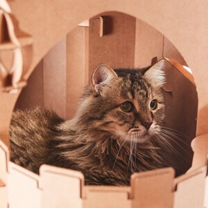 Personalized Pet furniture | Custom Cardboard Pet Fortress | Playhouse for Small Pet image 7