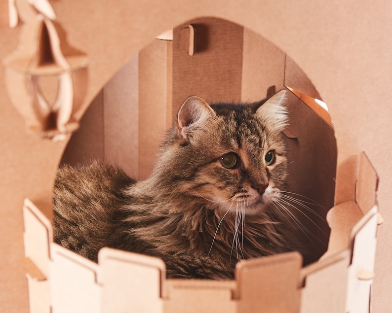 Personalized Pet furniture | Custom Cardboard Pet Fortress | Playhouse for Small Pet image 7