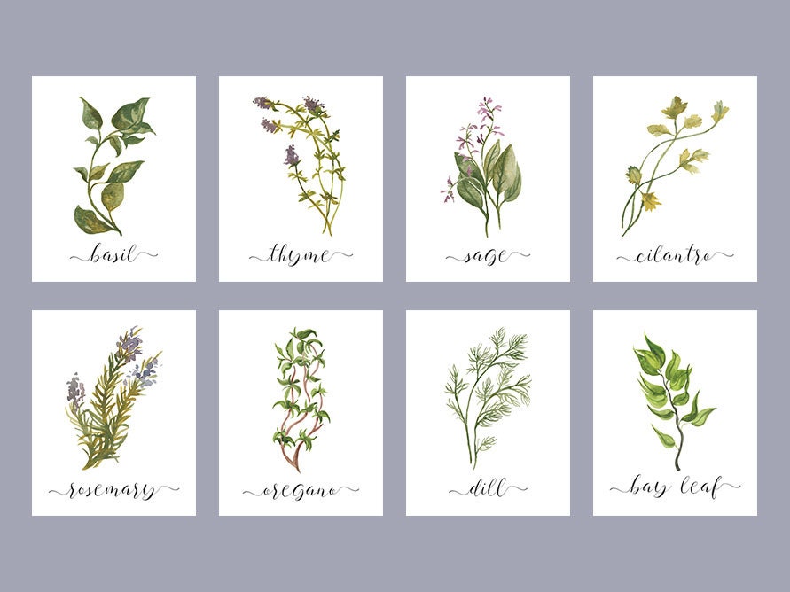 Herb Printable Set of 8 / Rustic Kitchen Decor / Watercolor - Etsy