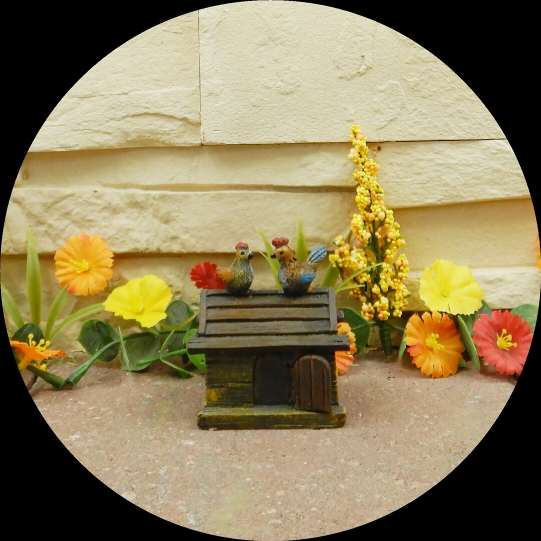 Chicken Coop Fairy Garden Miniature Mini Garden Figurine Etsy