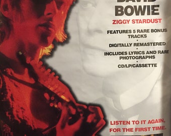 David Bowie Ziggy Stardust Record Store Promo Rock Poster