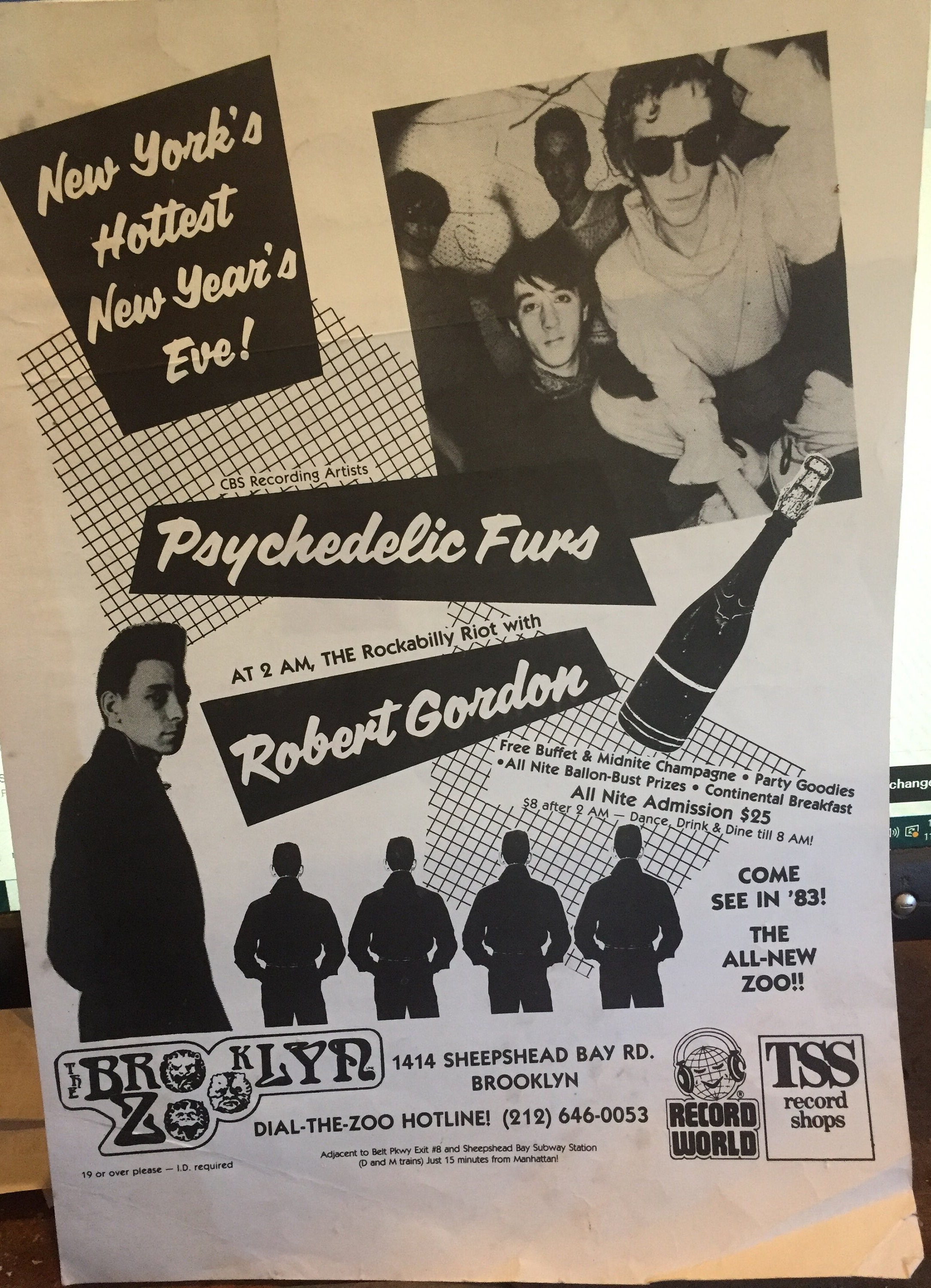 Psychedelic Furs Robert Gordon New Years Eve 1983 Poster for the