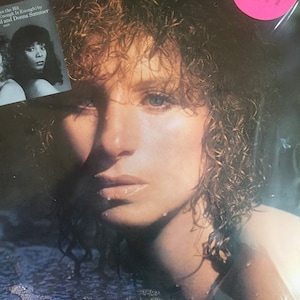 Barbra Streisand Wet Vinyl Pop Record Album