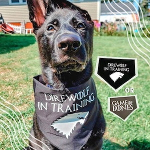 House stark dog bandana store