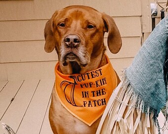 animal bandanas