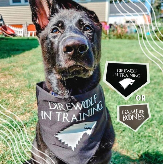 Direwolf in training store dog bandana