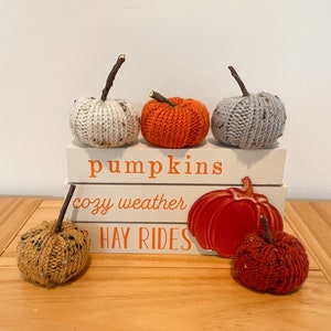May include: Five knitted pumpkins in various colors, including orange, white, and brown, are arranged on a stack of books. The books have the words "pumpkins", "cozy weather", and "hay rides" printed on them.
