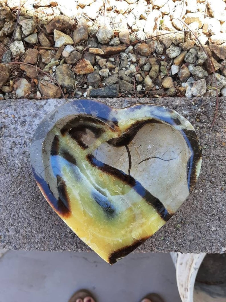 BIMUS 1pc Natural Polished Septarian Dragon Stone Heart Healing BIMUS 1pc Natural Polished Septarian Dragon Stone Heart Healing
