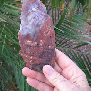A Rainbow petrified wood specimen rock,lapidary petrified rock slab, petrified wood, petrified rock, agatized rock, rainbow unpolished raw