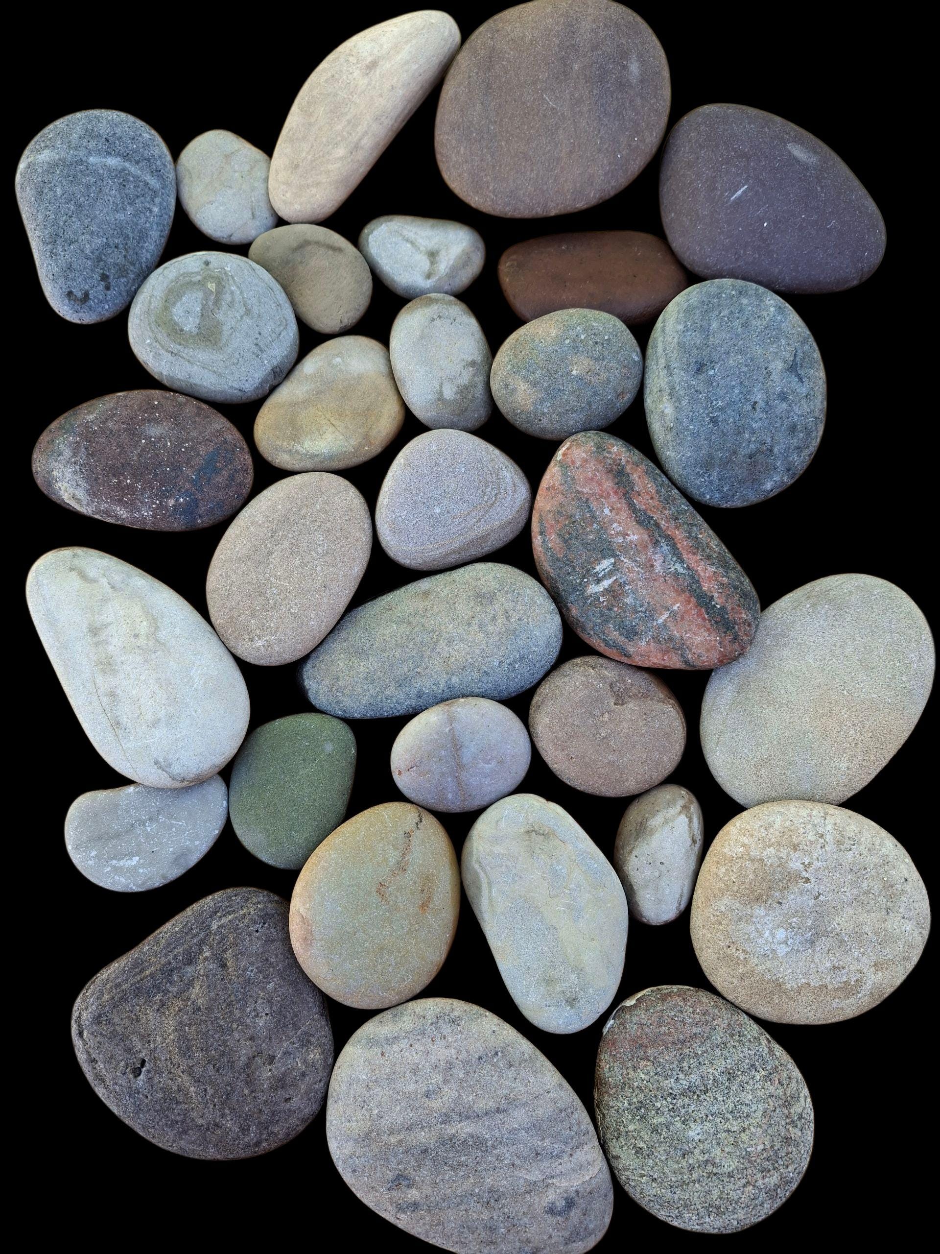 31 Smooth River Rocks: Flat Painting Stones, Terrarium Supplies
