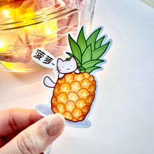 Puede incluir: Un gato blanco con orejas rosas y una nariz rosa se sienta encima de una piña. La piña tiene hojas verdes y un cuerpo amarillo y naranja. El texto "愛貓!" está escrito en negro sobre un fondo blanco.