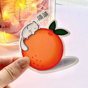 Katze auf einer Orange | 2 oder 3-Zoll wasserdichter Vinylaufkleber | Süßes Kawaii Asiatisches Essen | Perfekt für Wasserflasche, Laptop, Planer, Journal, Telefon