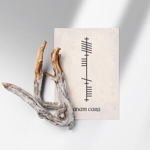 Anam Cara (Soulmate) text below Ogham script that translates to Anam Cara, Irish for Soulmate. Black lettering on an antique-style background displayed beside a decorative branch.