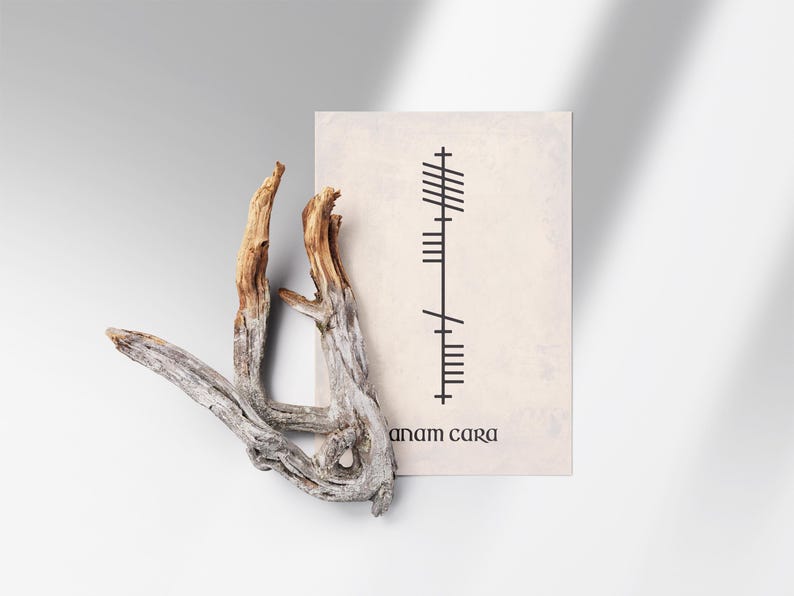 Anam Cara (Soulmate) text below Ogham script that translates to Anam Cara, Irish for Soulmate. Black lettering on an antique-style background displayed beside a decorative branch.
