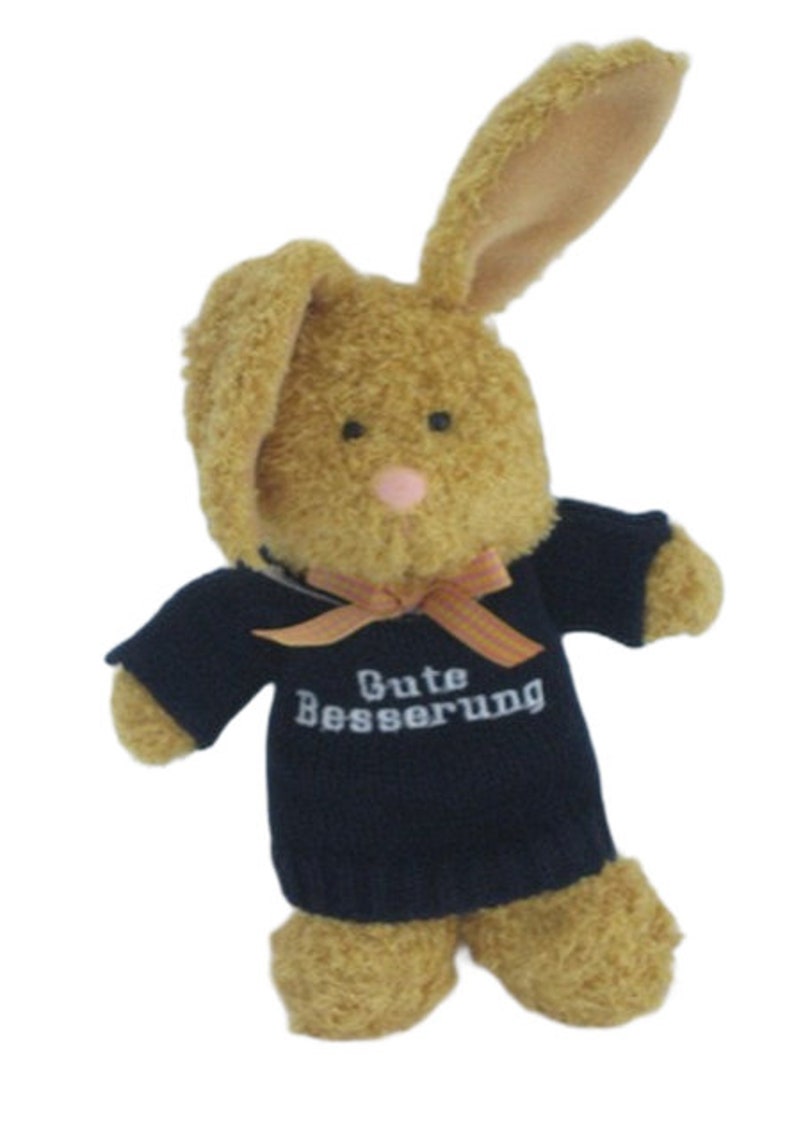 Hase, Hase mit Pulli, Plüschhase,, Stickerei, Gute Besserung, Geschenk, Genesungsgeschenk Bild 1