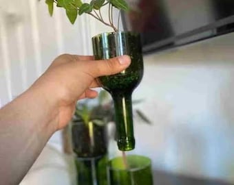 Hydroponic Garden In Glass Bottle | Wine Gift Bottle Planter Pot |  Repurposed bottle