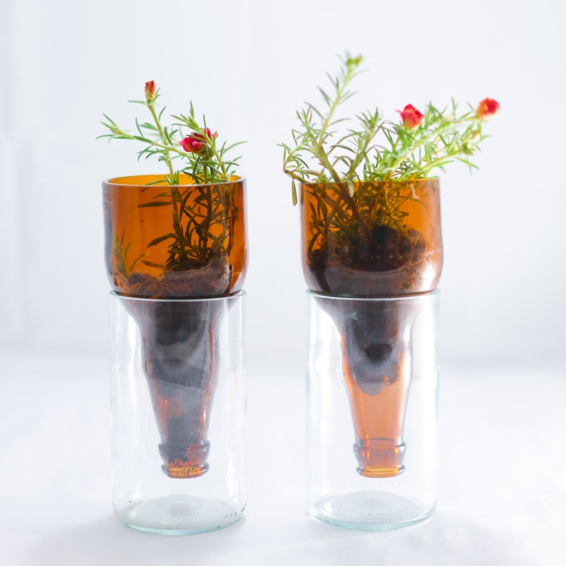 WINE & BEER Bottle Hydroponic Garden Office Desk Planter | Etsy