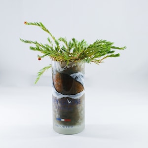 GREY GOOSE GLASS Planter Pot
