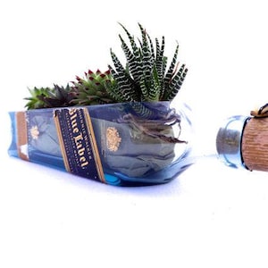 May include: A repurposed blue glass bottle planter with a variety of succulents. The bottle features a "Blue Label" label and a wooden stopper. The succulents have green and red leaves.