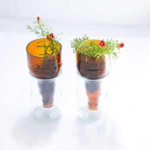 WINE & BEER Bottle Hydroponic Garden - Office Desk Planter
