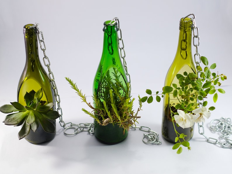 Maceta colgante hecha a mano a partir de botella de vino reutilizado Verde Olivos Olive Claro imagen 2