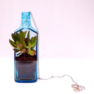 Hanging Succulent Planter Pot from Bombay Sapphire Gin Bottle