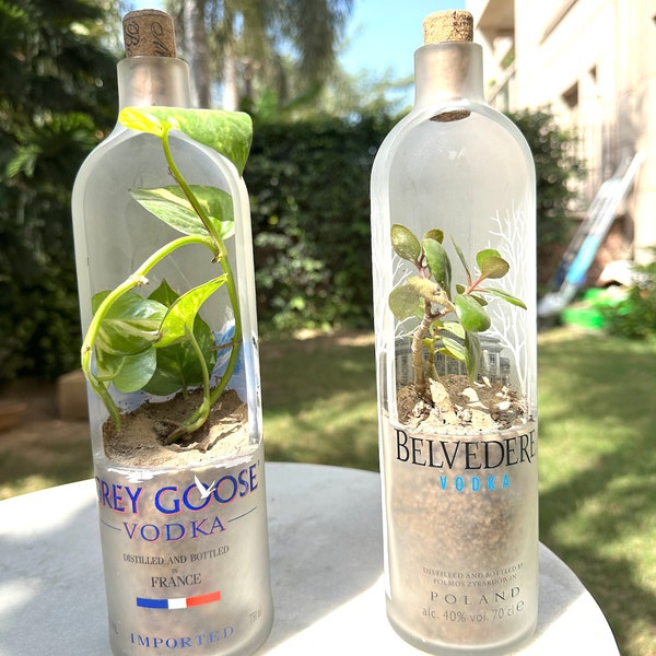 Bottle Garden | Grey goose Gift Bottle Planter Pot |  Repurposed bottle | Sustainable Christmas gifts | Succulent bottle planter pot | desk