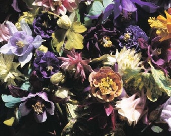 30+ Crown Jewles Mix Aquilegia / Columbine / Perennial / Flower Seeds.