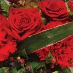 20+ Red Liasanthus / Eustoma / Annual / Flower Seeds.