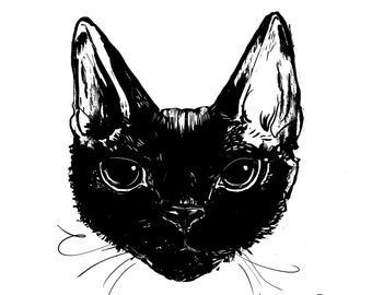 New Black And White Devon Rex Cat Portrait Fine Art Print