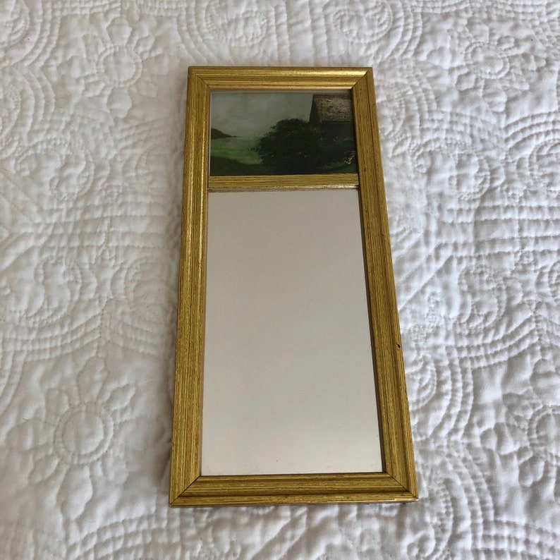 Gold Framed Wall Mirror With Jamie Wyeth Island Roses Coastal Art Print