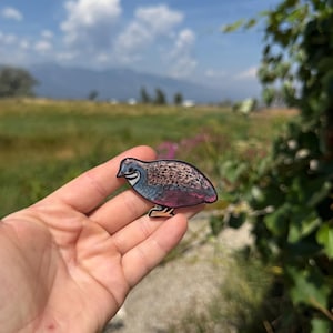 May include: A colorful quail sticker with a blue head, brown speckled body, and pink accents. The sticker is held in a hand against a backdrop of a field, mountains, and a blue sky.