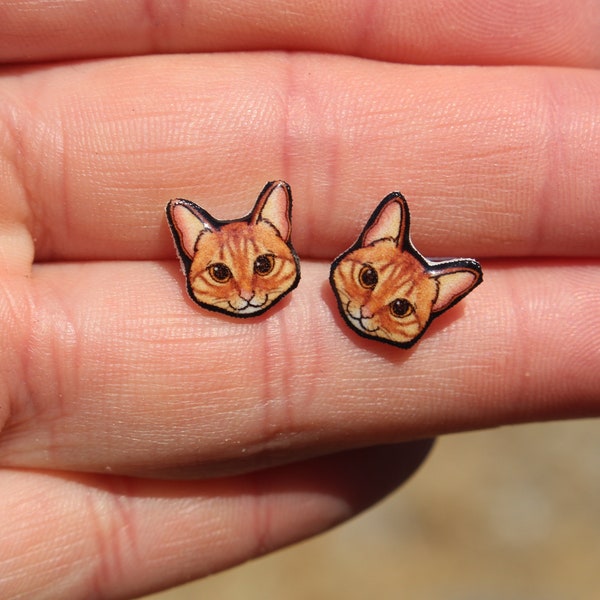 Orange Tabby Cat Earrings : Gift for cat lovers, vet techs, veterinarians, zookeepers cute animal cat earrings with Stainless Steel Posts