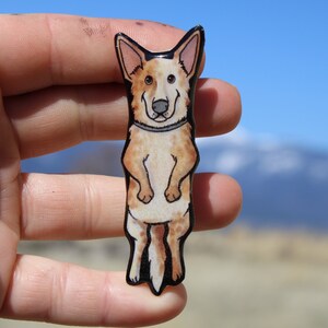 May include: A cartoon illustration of a red and white Australian Cattle Dog standing on its hind legs. The dog is wearing a black collar and has a happy expression on its face. The image is printed on a clear acrylic pin.