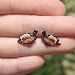 Snail Stud Earrings: Gift for animal lovers, vet techs, veterinarians, zookeeper's cute earrings with Stainless Steel Posts
