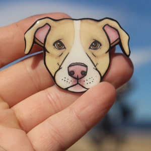 Pitbull Magnet: Gift for pit bull lovers, teachers, vet techs, veterinarians, dog loss memorial cute animal magnets for locker or fridge