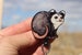 Baby Opossum Badge Reel ID holder: Gift for Possum lovers, nurses, vet techs, veterinarians, zookeepers loss memorial animal badge reels 