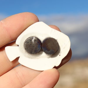 May include: White ceramic fish-shaped magnet with two round black magnets on the back.