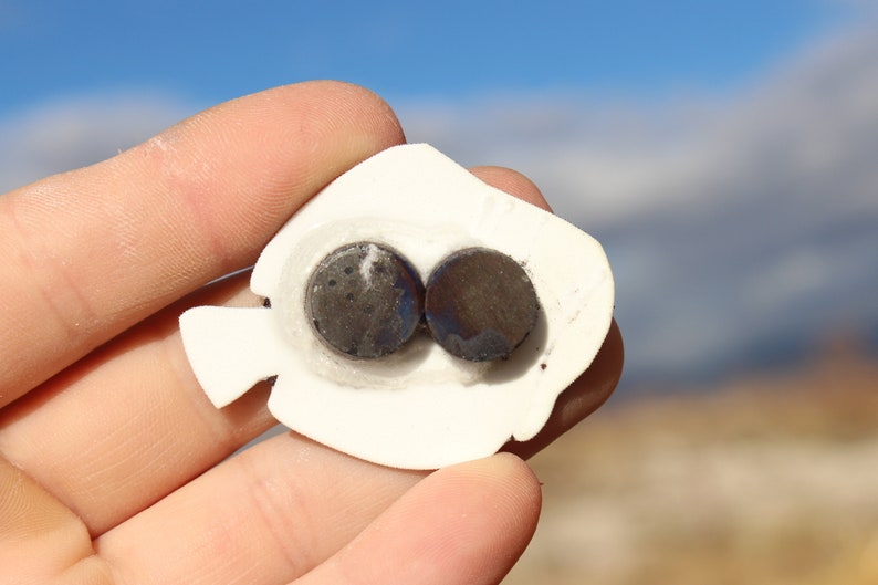 May include: White ceramic fish-shaped magnet with two round black magnets on the back.