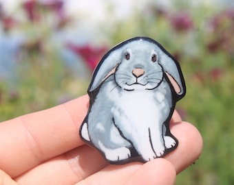 Bunny Rabbit Magnet: Gift for rabbit lovers, vet techs, veterinarians, zookeepers cute farm animal magnets for locker or fridge